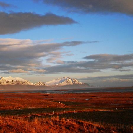 Guesthouse Nypugardar Höfn Eksteriør bilde
