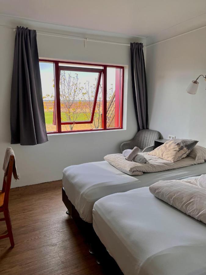 Guesthouse Nypugardar Höfn Eksteriør bilde